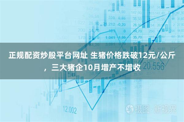 正规配资炒股平台网址 生猪价格跌破12元/公斤,三大猪企10月增产不增收